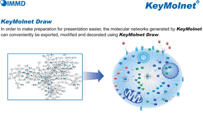 In order to make preparation for presentation easier, the molecular networks generated by KeyMolnet can conveniently be exported, modified and decorated using KeyMolnet Draw.